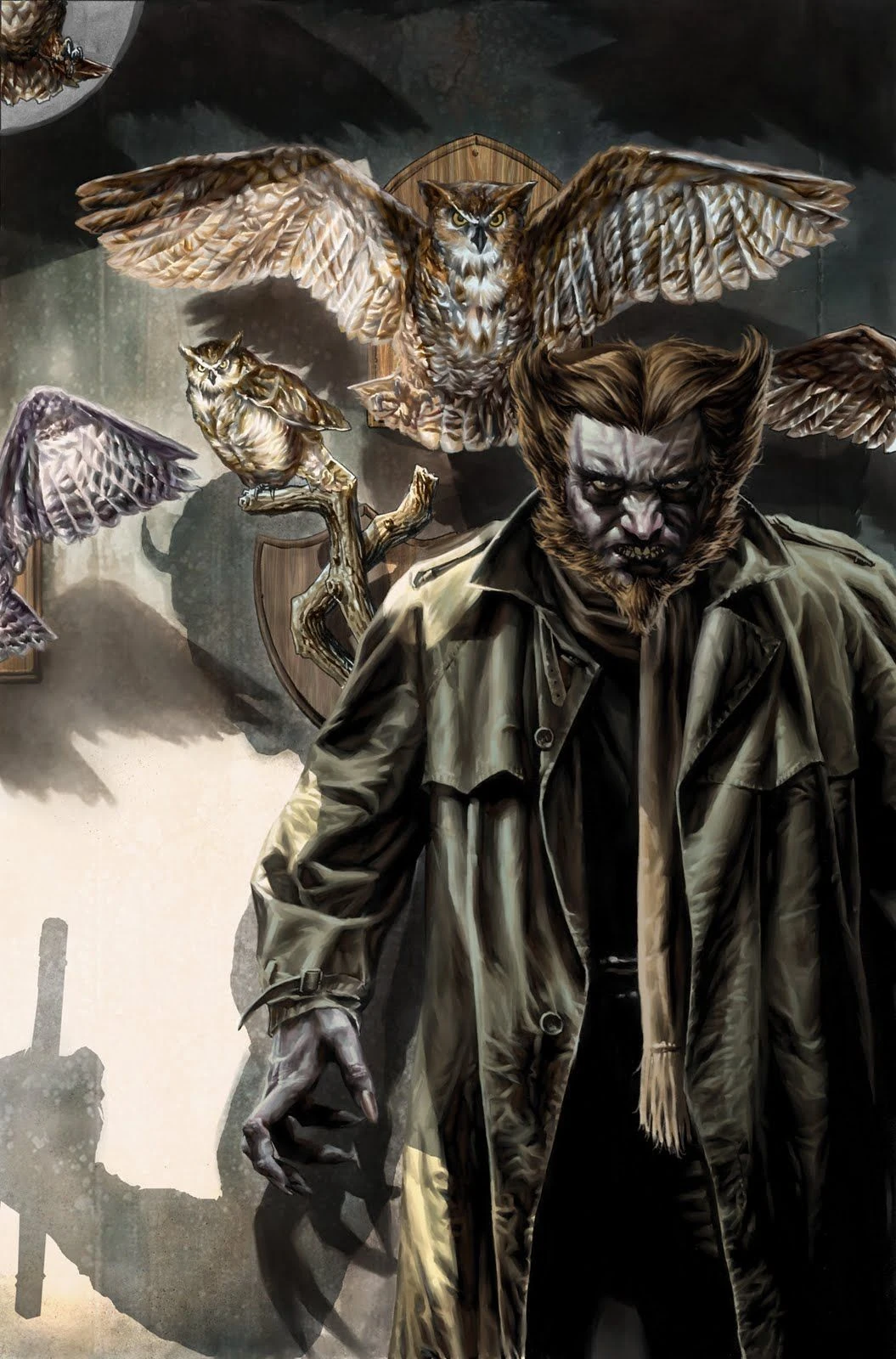 Owl