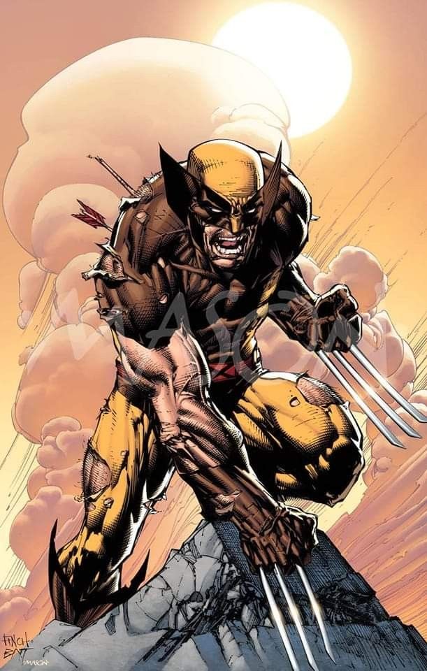 Wolverine